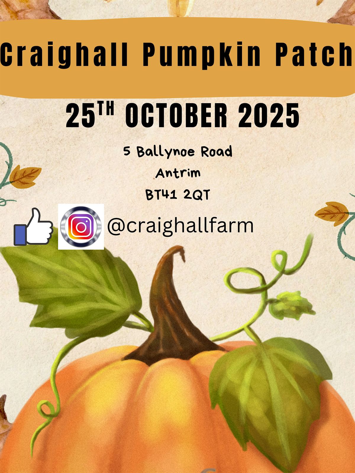 Craighall Pumpkin Patch, 25 October | Event in Antrim | AllEvents