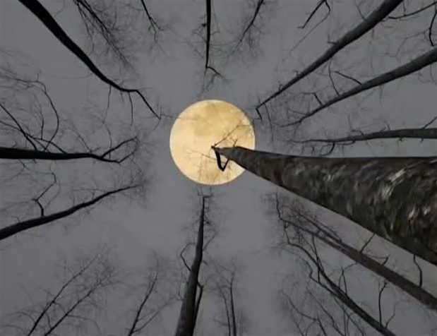 Full Moon Outdoor Yoga (donation based), 9 August | Event in New Hope | AllEvents