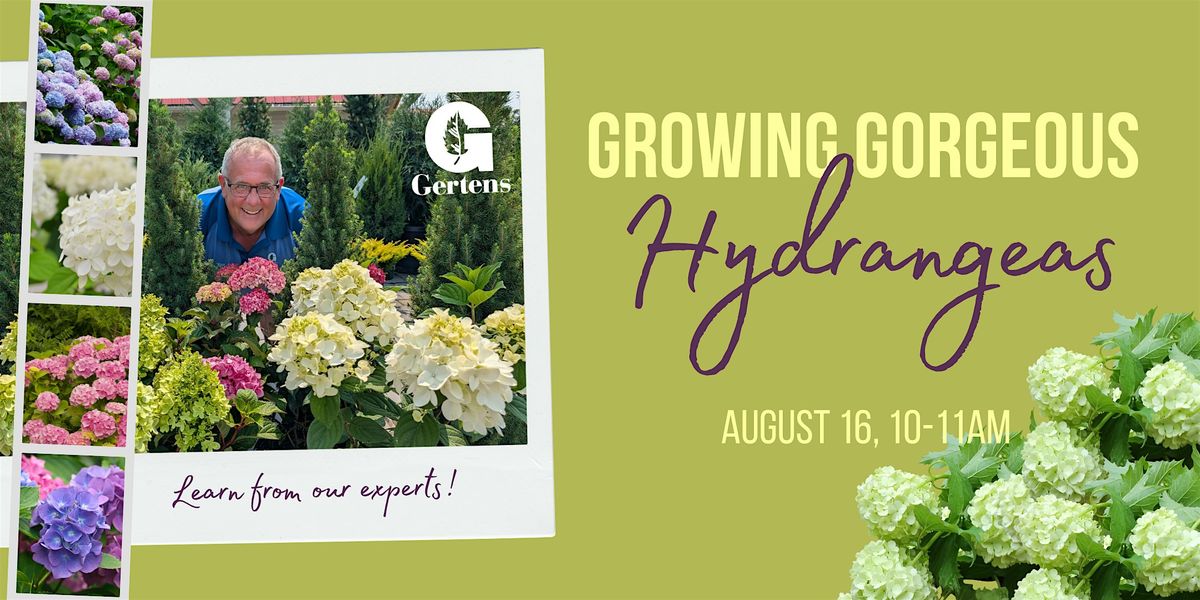 Growing Gorgeous Hydrangeas, 16 August | Event in Inver Grove Heights | AllEvents