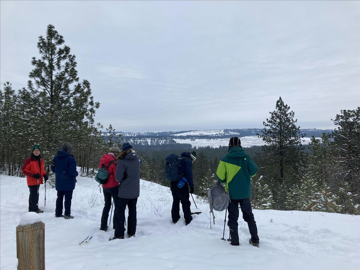 Riverside's Trautman Conservation Area First Day Hike, 1 January | Event in Nine Mile Falls | AllEvents