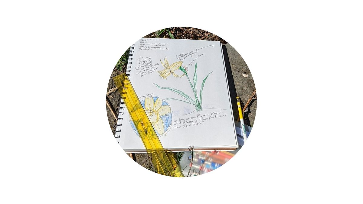 Introduction to Nature Journaling | Event in Boyce | AllEvents