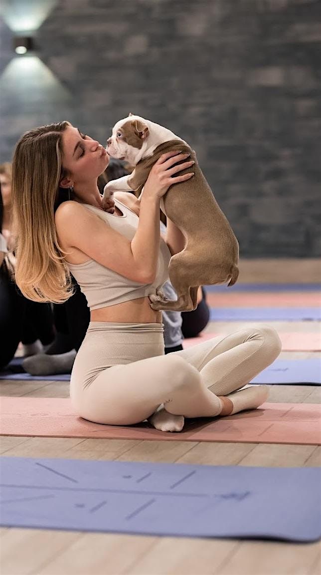 Puppy Yoga Oakville & Mississauga Support Rescue Puppies (Saturday), 2 August | Event in Mississauga | AllEvents