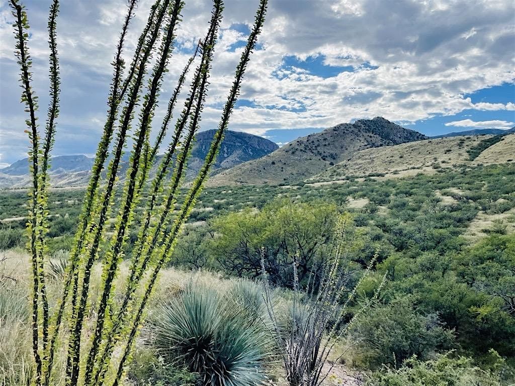 Springs Restoration in the Whetstone Mountains, 16 December | Event in Benson | AllEvents