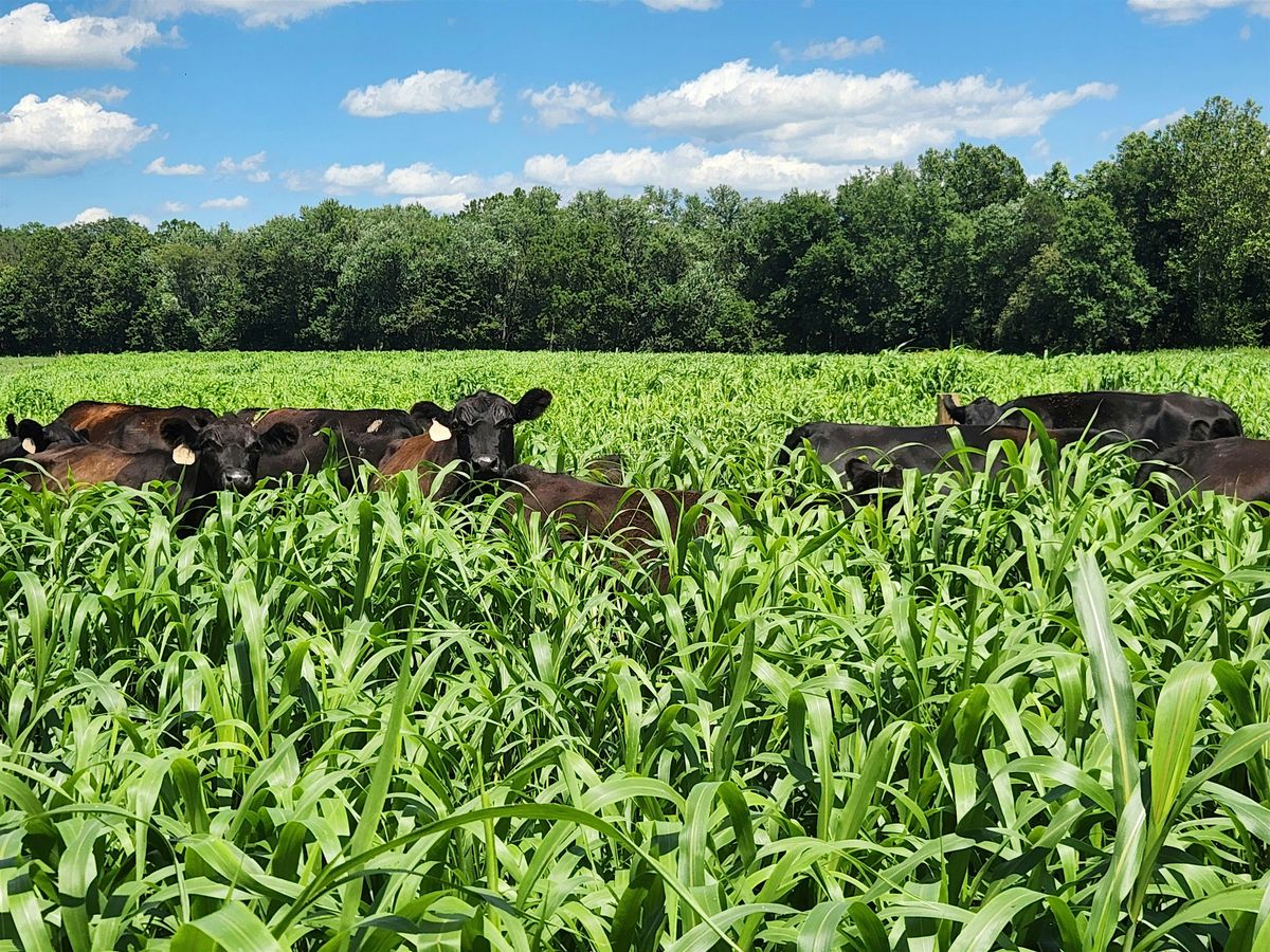 Senft Farm Pasturewalk and BQA Training, 16 August | Event in Three Springs | AllEvents