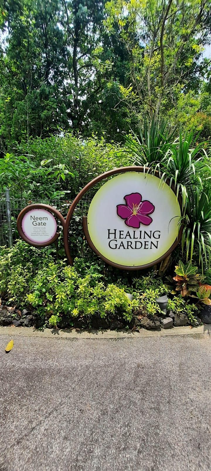 新加坡植物园疗愈园游览 (中文讲解) SBG Healing Gardens Tour in Mandarin | Event in Queenstown