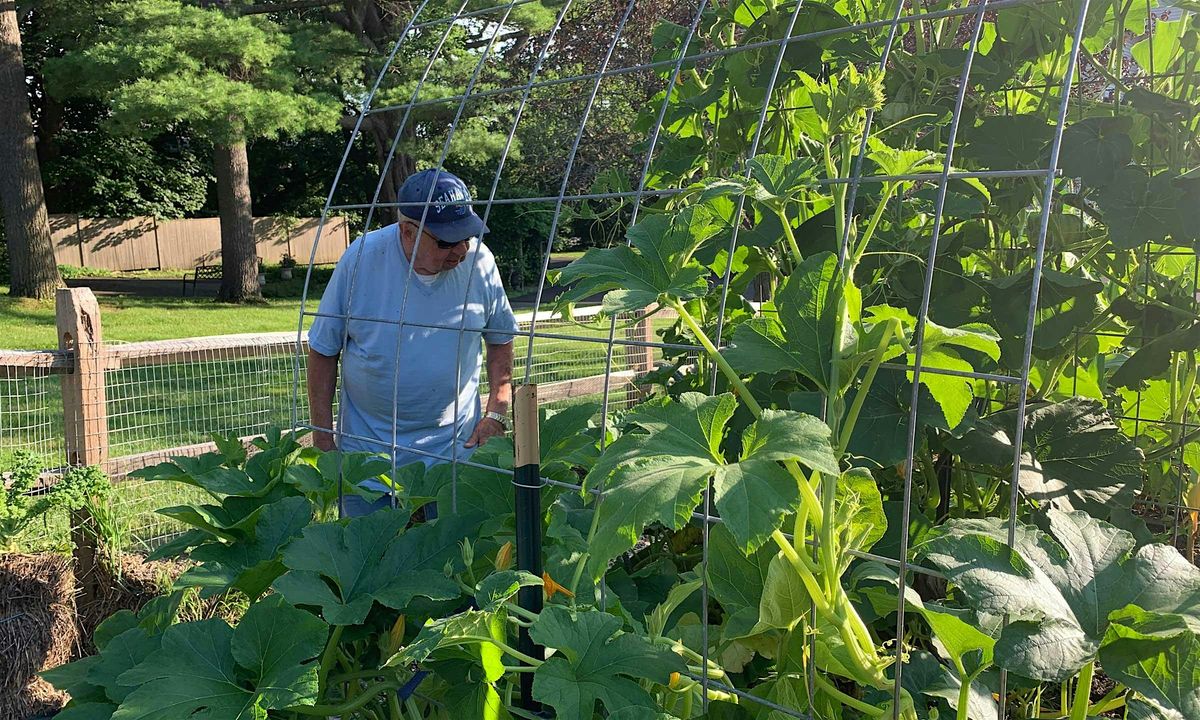Harvest Celebration, Founders Day – Lee Downtown Community Garden, 20 September | Event in Lee | AllEvents