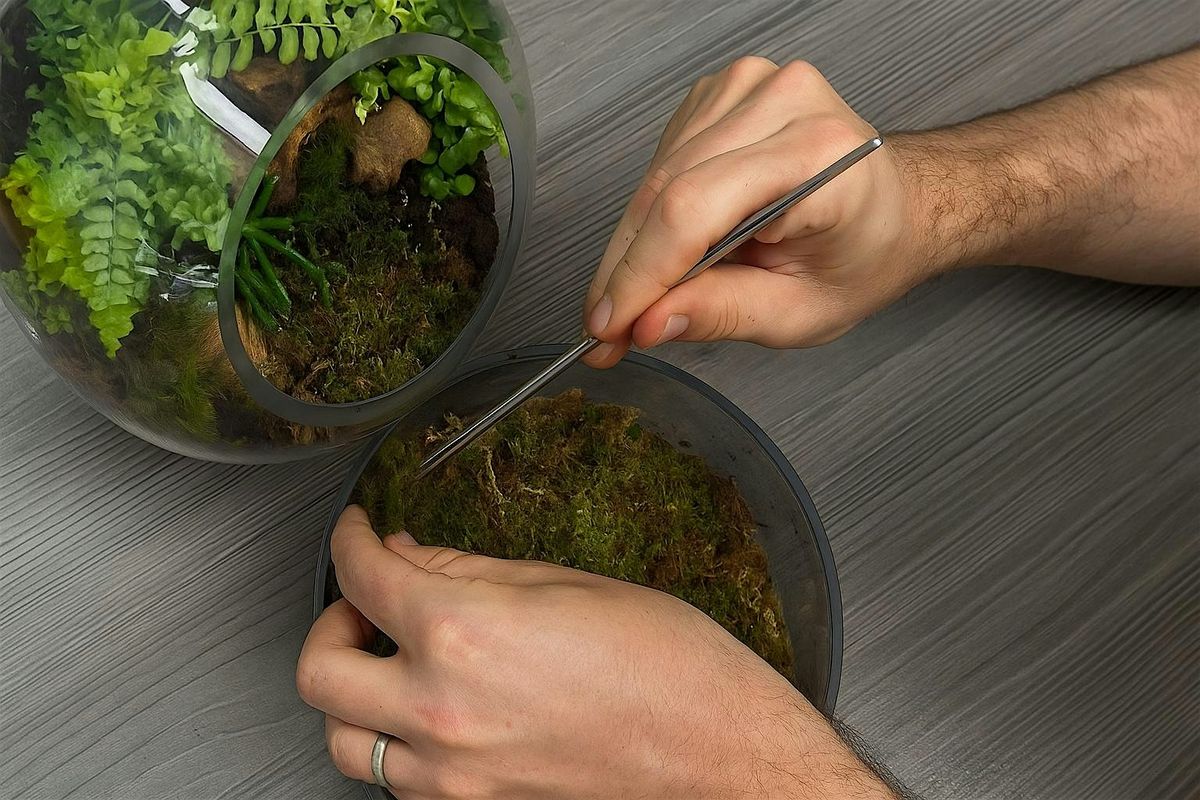 Woodland Terrarium Workshop at Allan Gardens | Event in Toronto | AllEvents