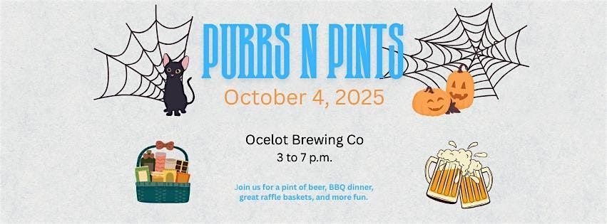 Purrs and Pints | Event in Dulles | AllEvents