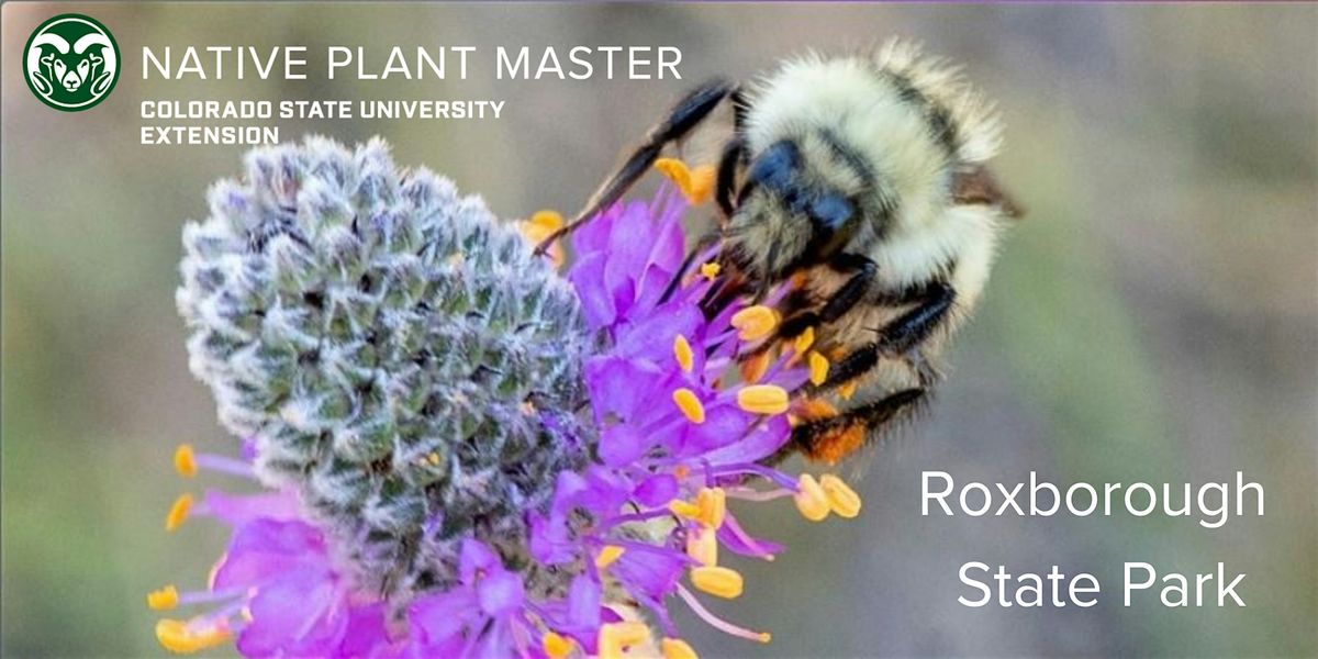 2025 NPM Wildflower Walk at Roxborough State Park - May 22, 9:00am-12:00pm, 22 May | Event in Littleton | AllEvents
