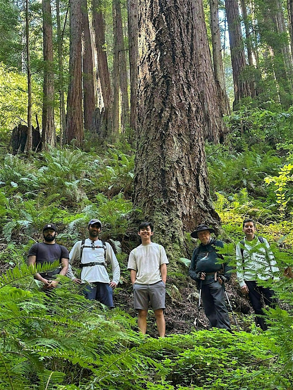 Sunday Morning Half-Day Hiking Chan Meditation | Event in Kensington | AllEvents