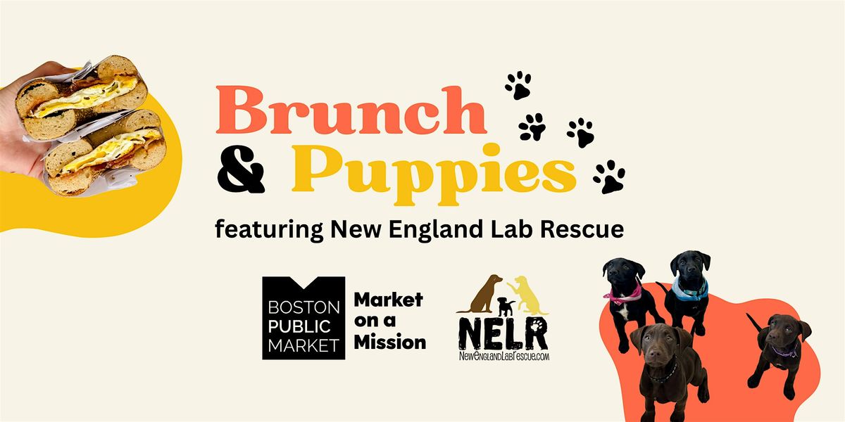 Brunch & Puppies at Boston Public Market, 1 June | Event in Boston | AllEvents