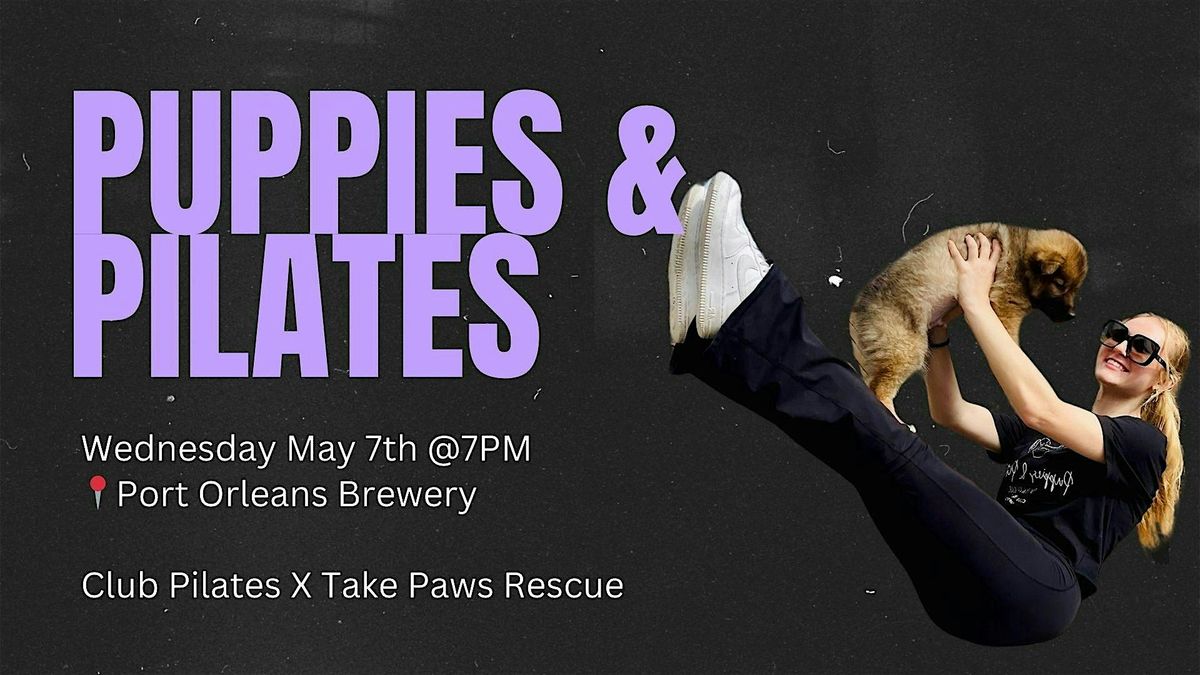 Puppies and Pilates!, 7 May | Event in New Orleans | AllEvents