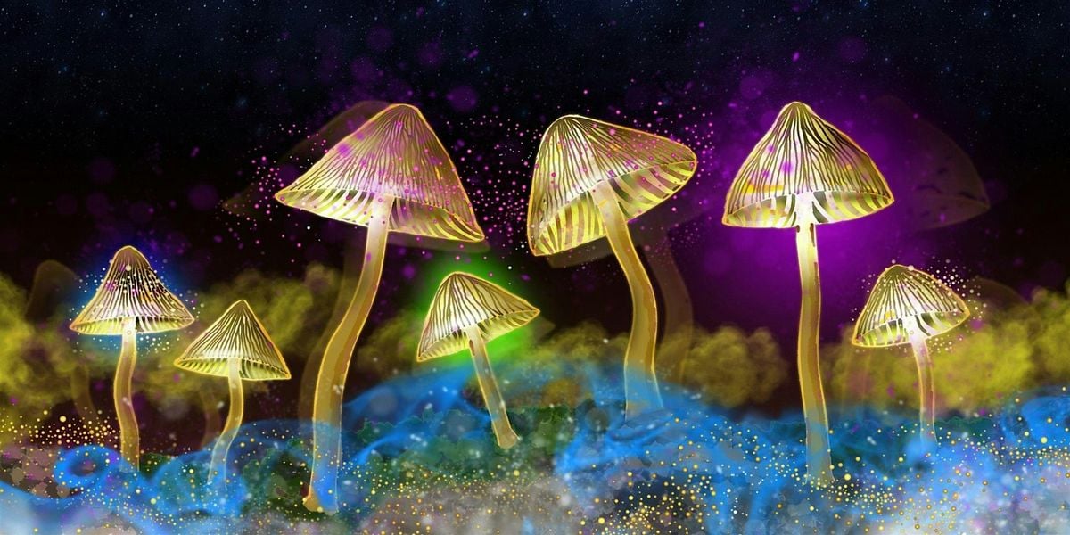 The Science of Psychedelics with Dr David Luke, 18 November | Event in Taunton | AllEvents