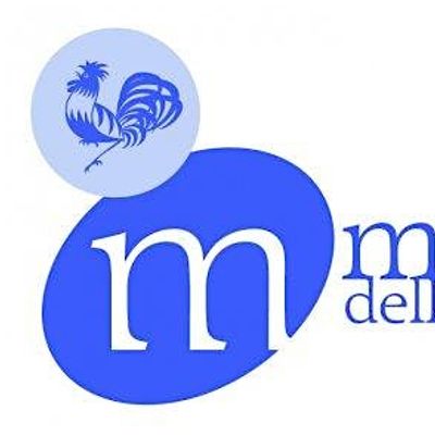 Museo della Ceramica di Mondovì logo