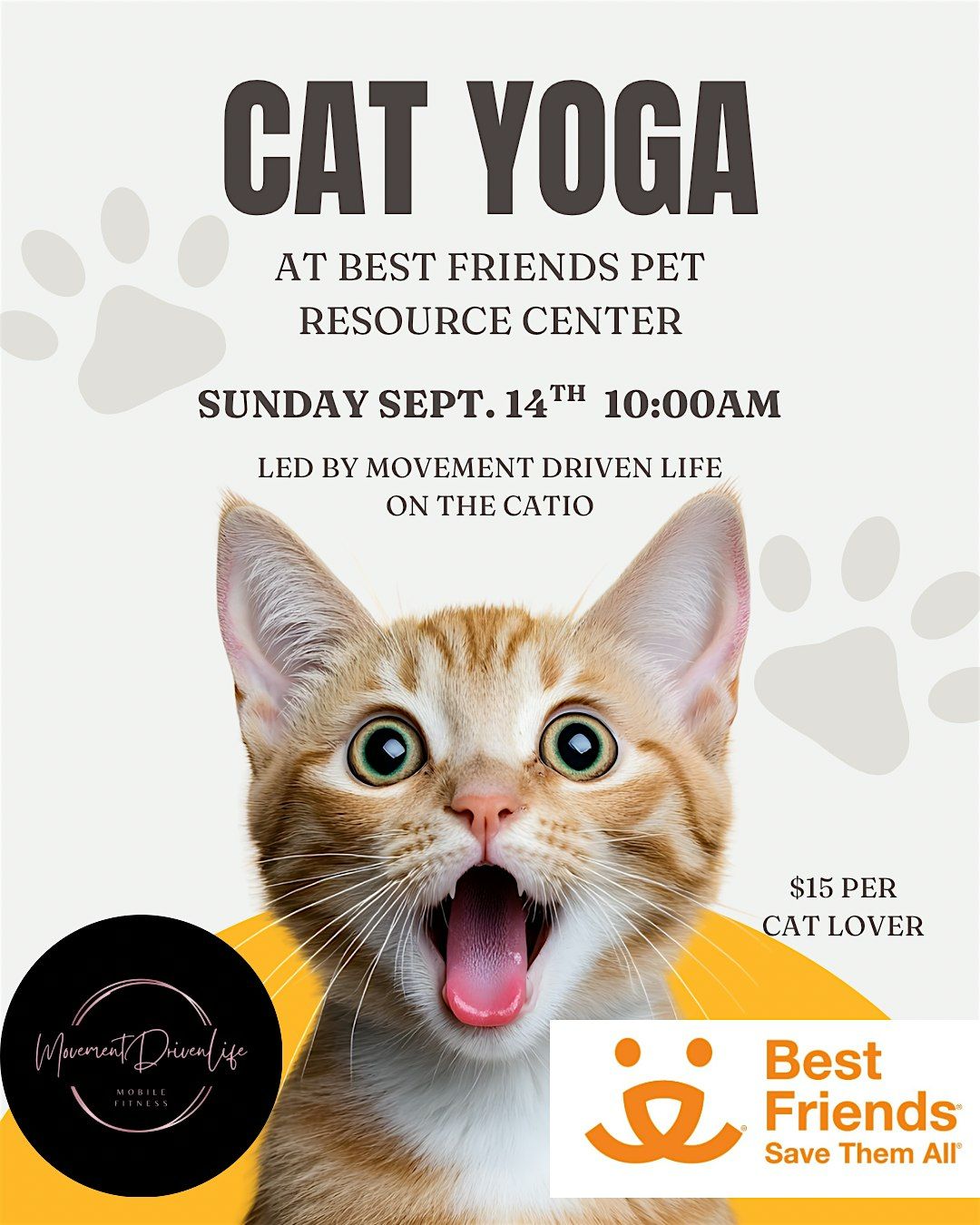 Catio Lost Cat Listings Cat Yoga At Best Friends Pet Resource