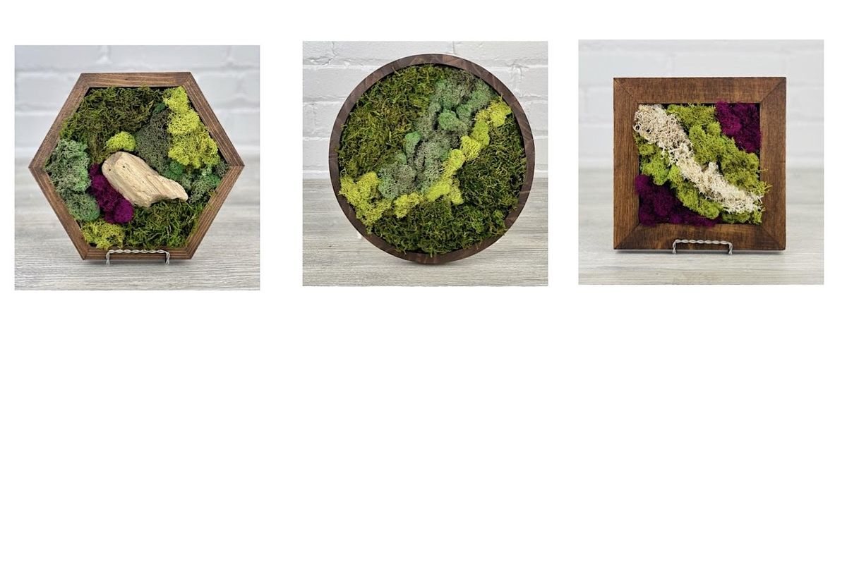Preserved Moss Wall Art Class | Event in Excelsior | AllEvents