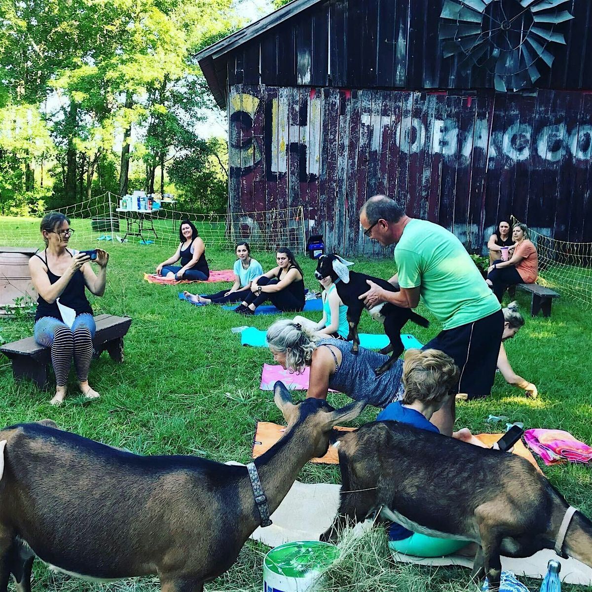 Goat Yoga at The Back Barn at Bedaw Farms, 28 June | Event in Awendaw | AllEvents