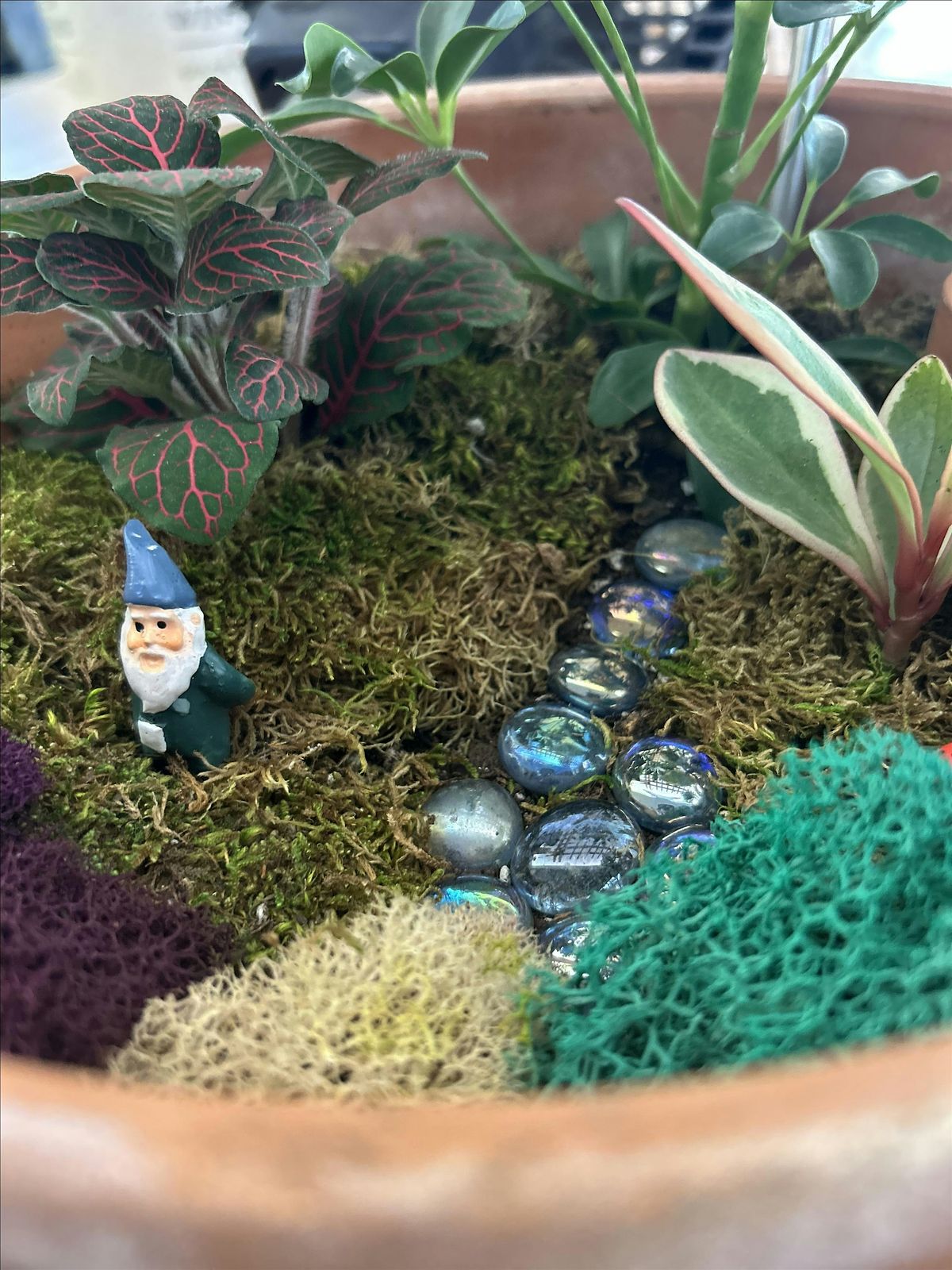 Fairy Container Garden Workshop, 28 June | Event in Memphis | AllEvents