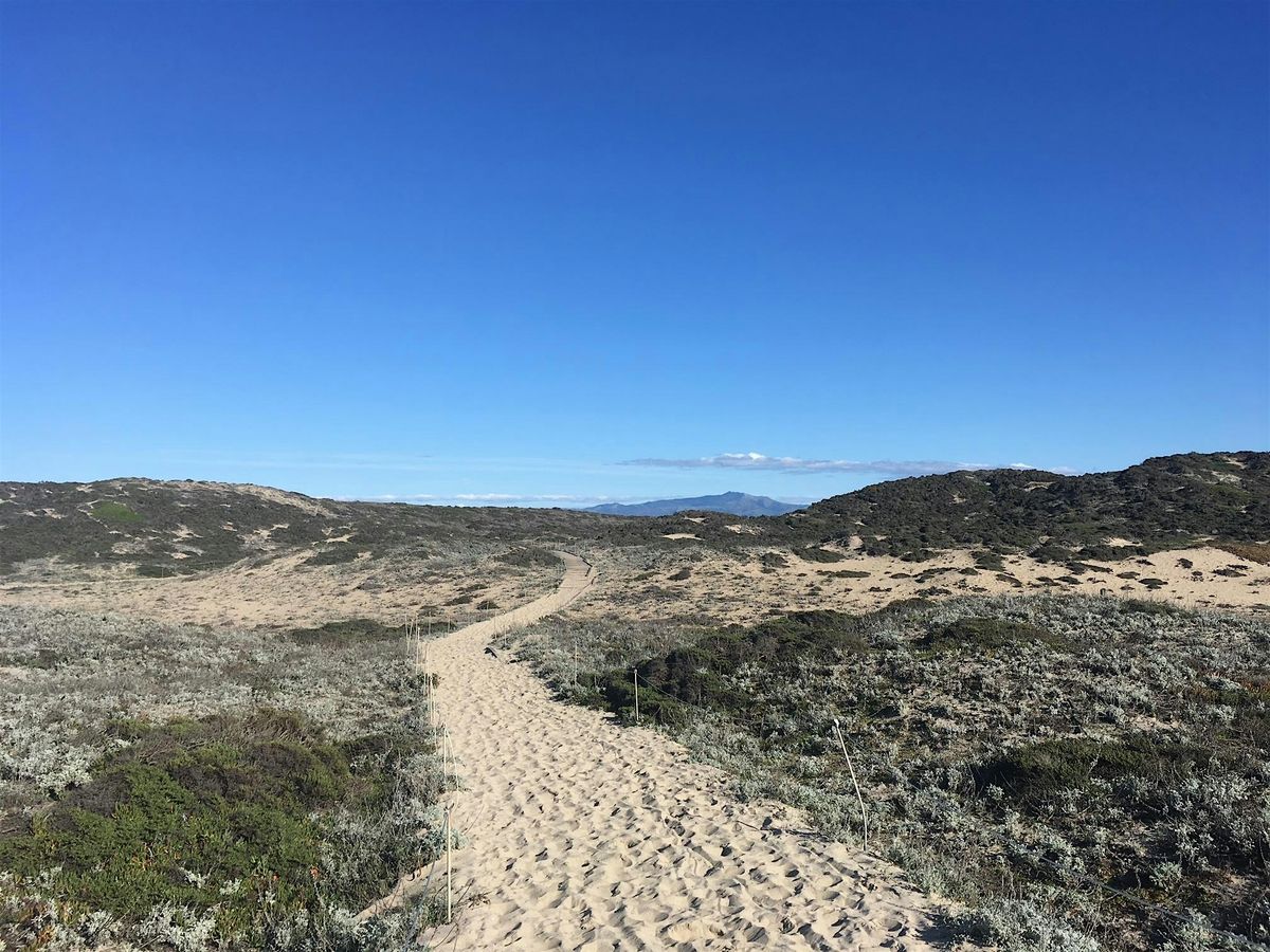 Restore the Shore: A Community Planting Day, 7 December | Event in Moss Landing | AllEvents