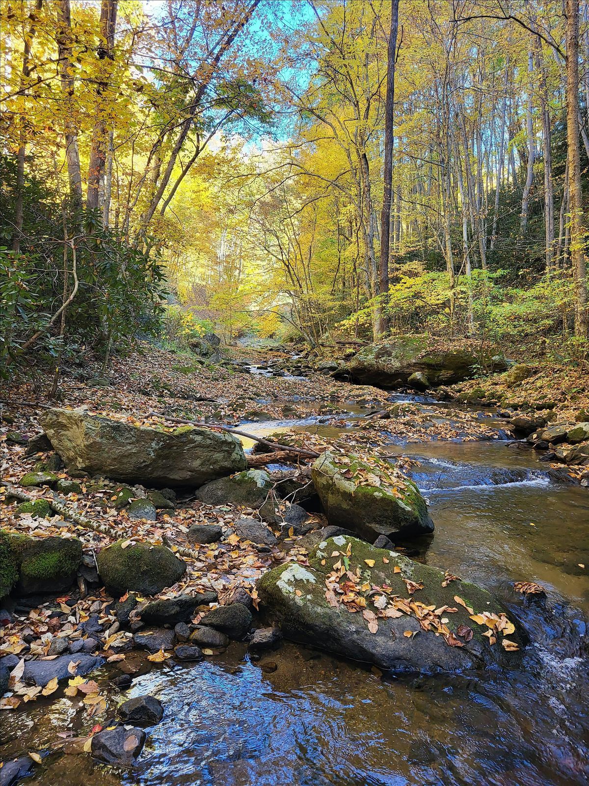 Let's Hike!, 16 August | Event in Johnson City | AllEvents