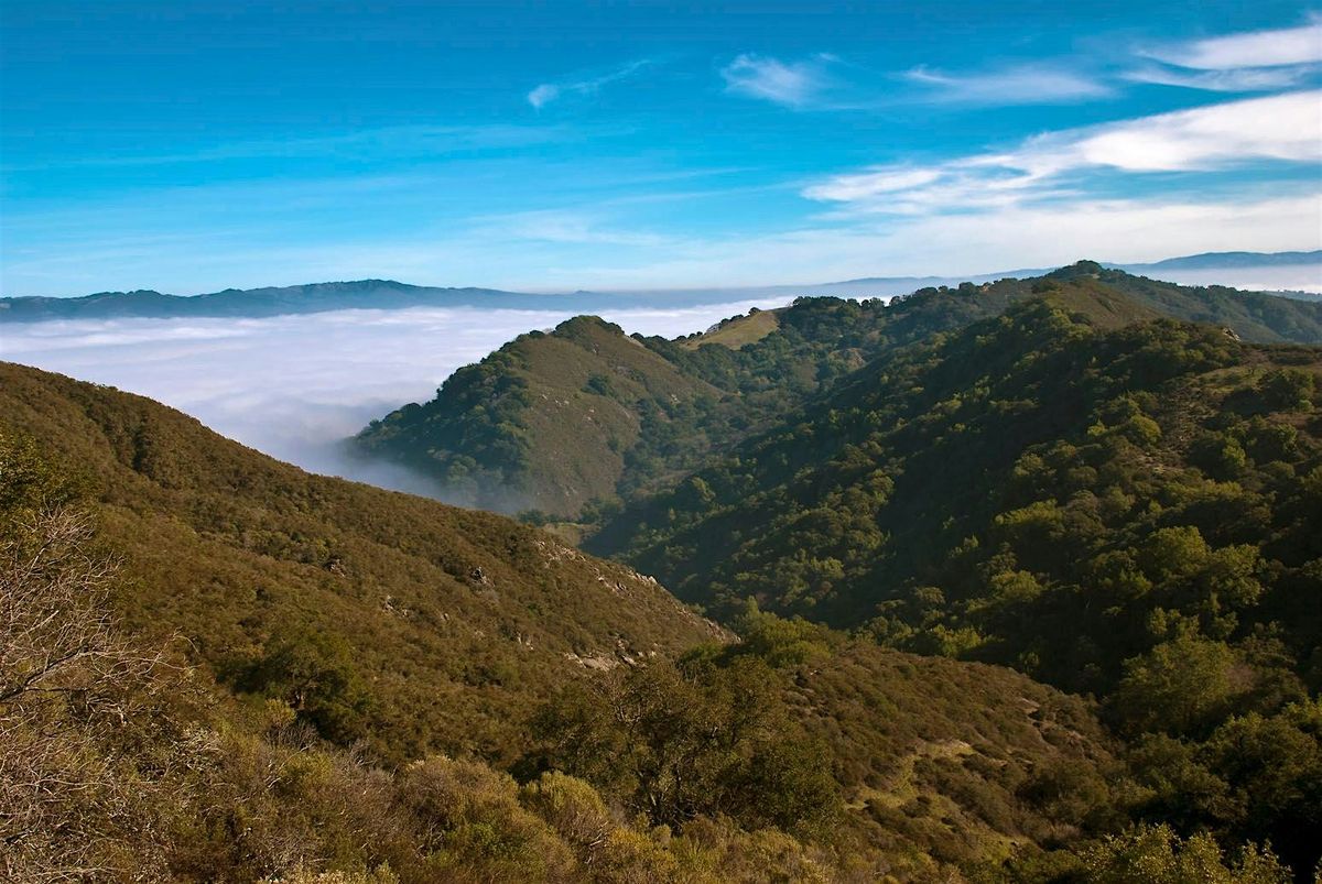 Las Trampas Oaks, 11 May | Event in San Ramon | AllEvents