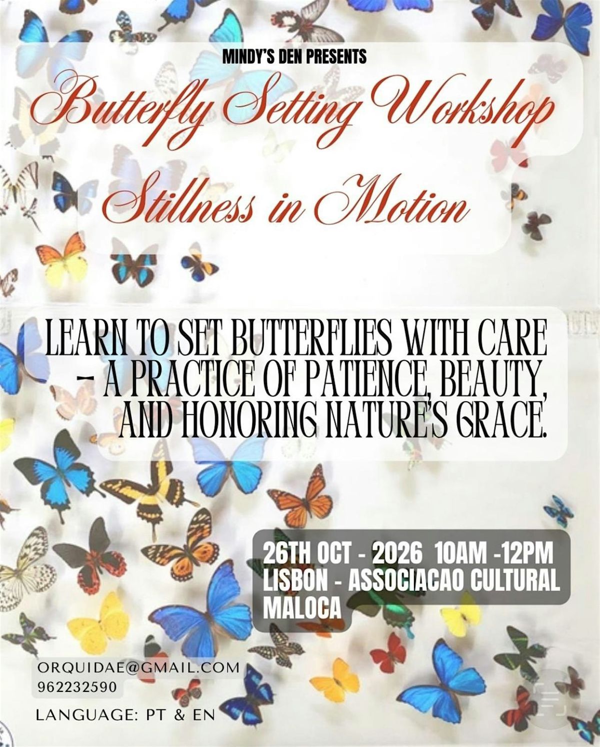 Butterfly setting - Lisbon, 26 October | Event in Lisboa | AllEvents