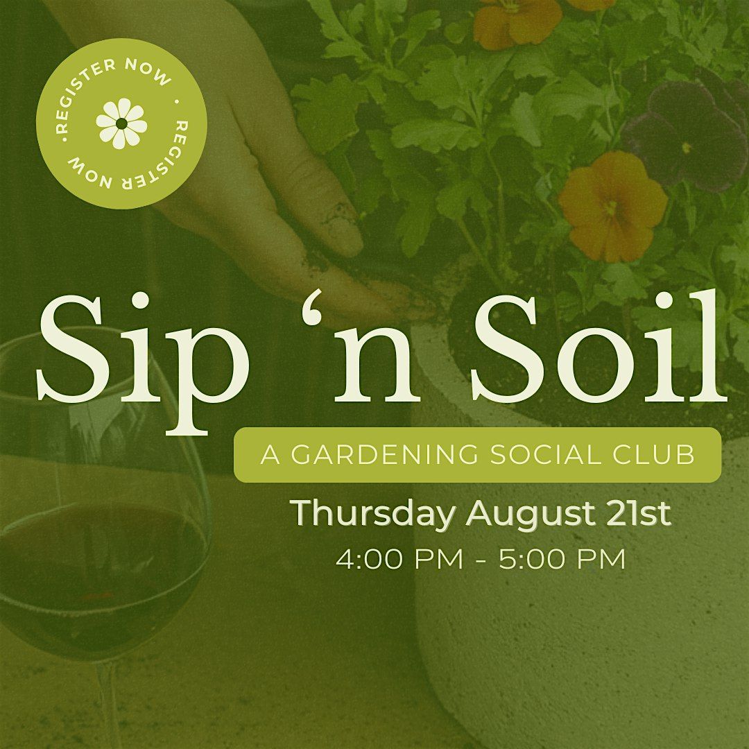 Sip 'N Soil: Summer Succulents, 21 August | Event in Birmingham | AllEvents