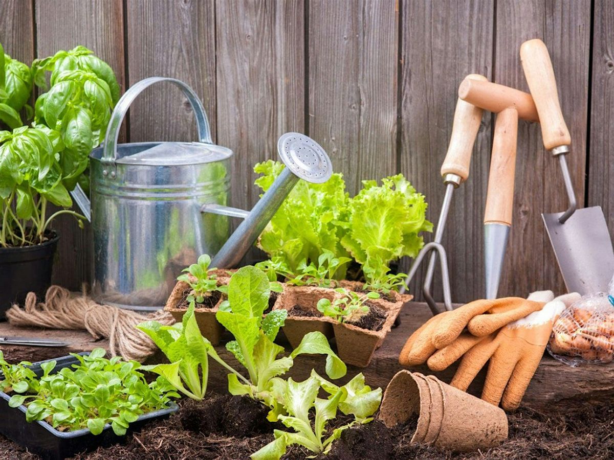 Gardening Discussion Group, 8 September | Event in Bristol | AllEvents