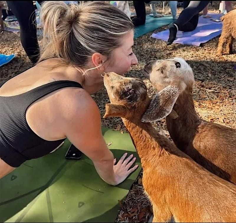 Goat Yoga at Botanologica, 13 September | Event in Falls Church | AllEvents