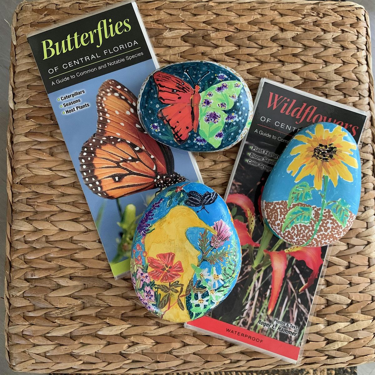 Pine Lily Art Class: Painted Rocks, 16 November | Event in Kissimmee | AllEvents