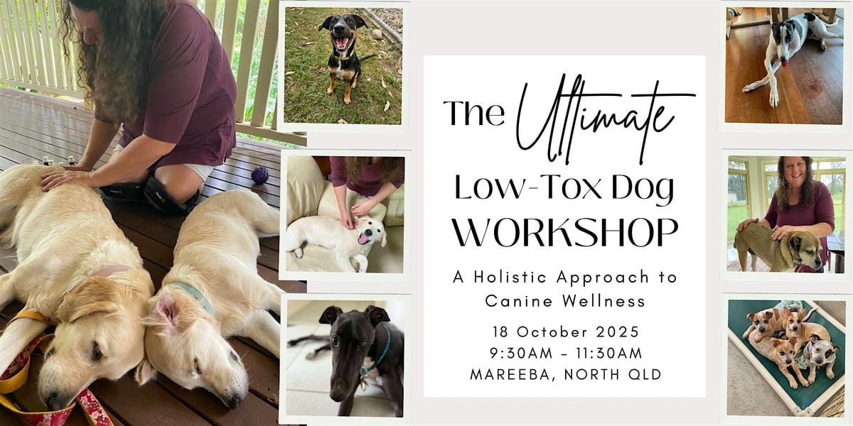The Ultimate Low-Tox Dog Workshop: A Holistic Approach to Canine Wellness, 18 October | Event in Mareeba | AllEvents