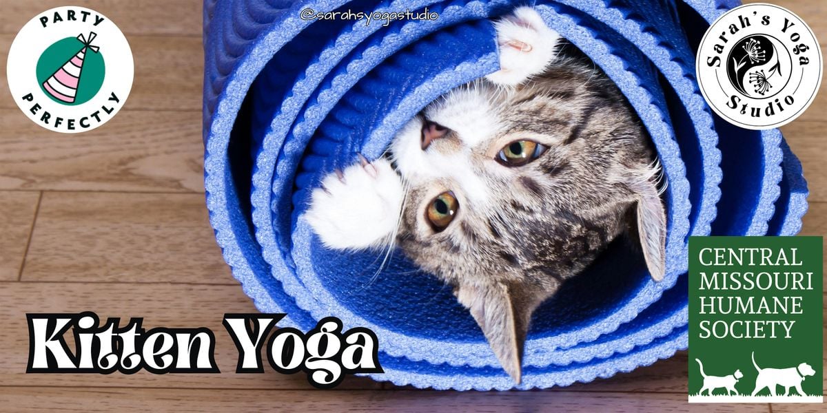Kitten Yoga at Party Perfectly with Sarah's Yoga Studio | Event in Columbia | AllEvents