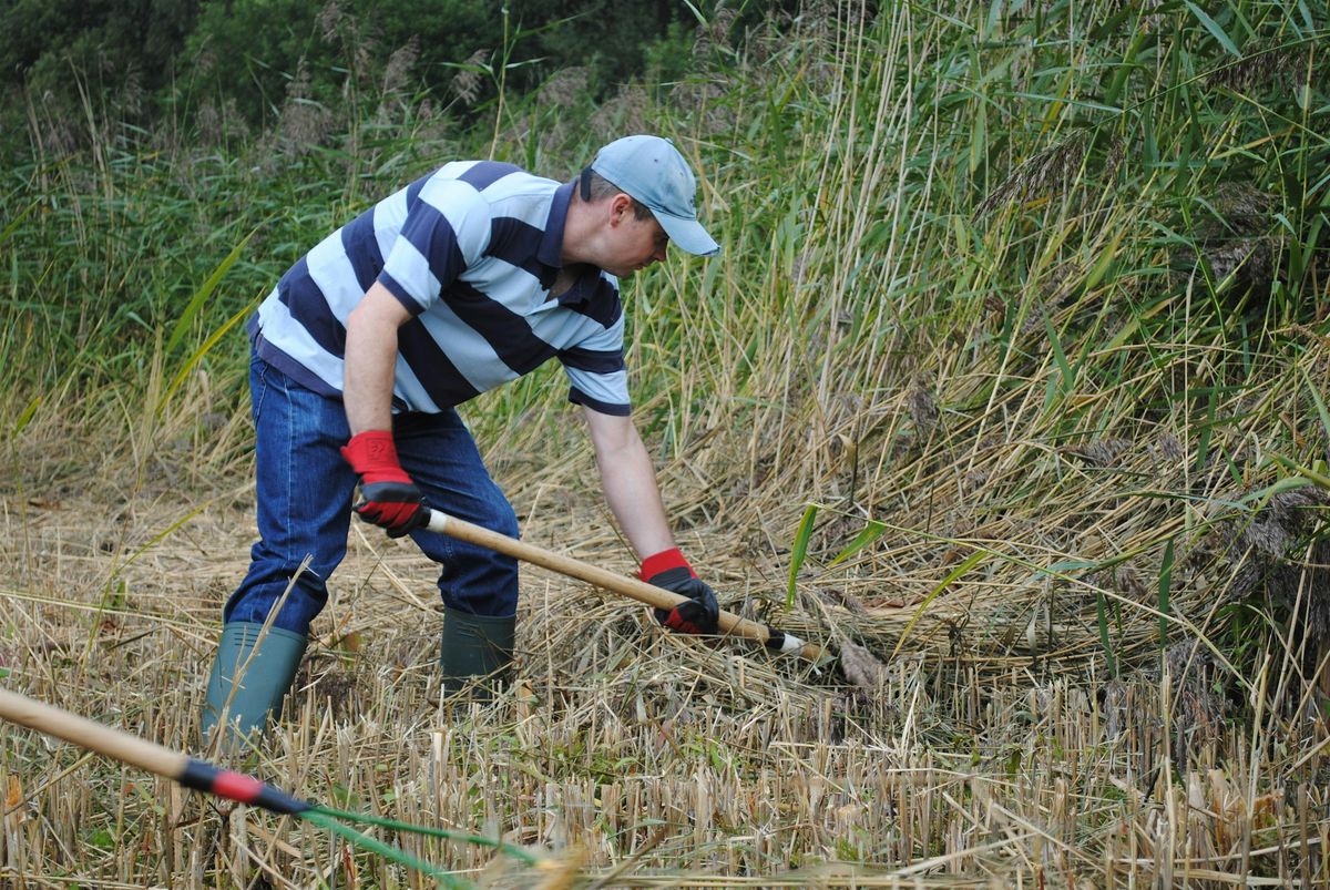 NWT Sweet Briar Marshes: Practical conservation task (19 December), 19 December | Event in Norwich | AllEvents