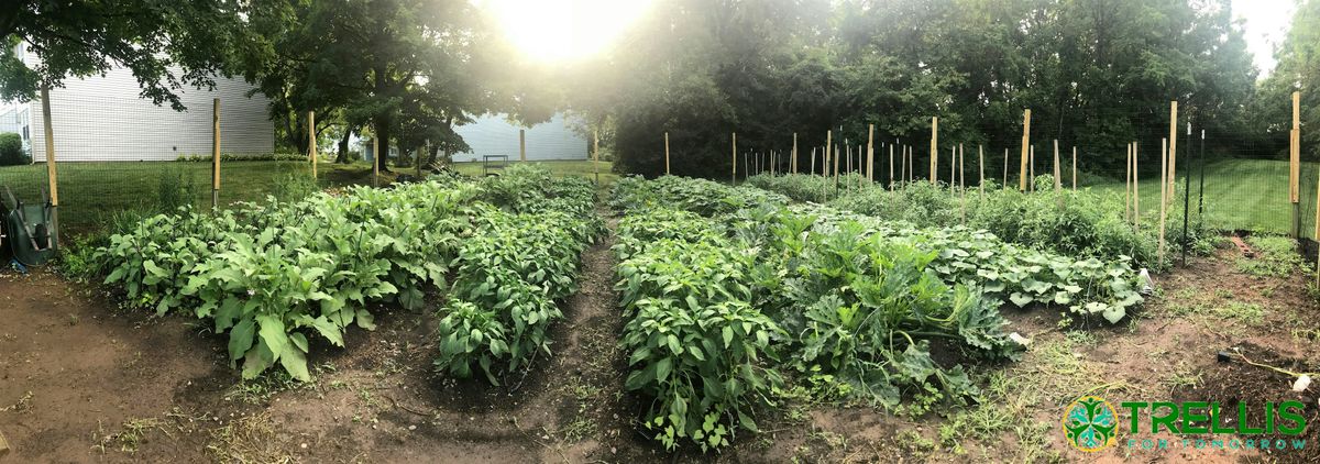 Volunteer Day at Park Spring Community Garden, 31 May | Event in Spring City | AllEvents