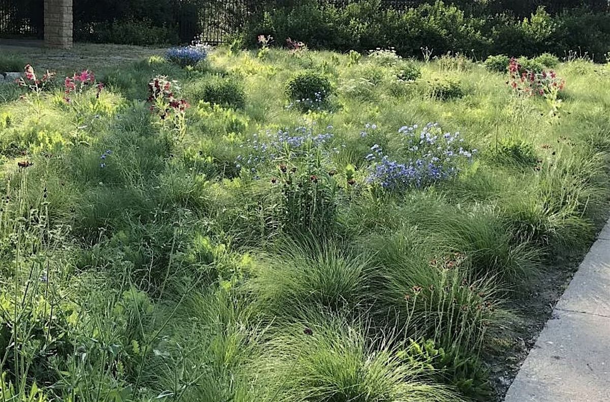 Create a shortgrass & wildflower pocket meadow, 28 June | Event in Cortlandt Manor | AllEvents
