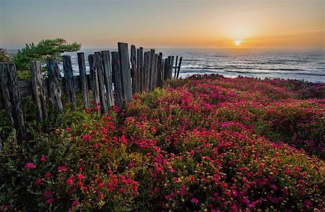 Creative Composition with Your Camera Phone, 13 December | Event in Point Reyes Station | AllEvents