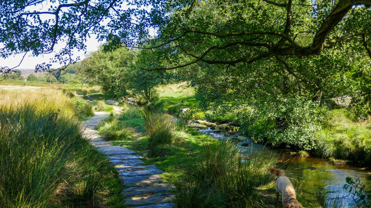 Higger Tor & Padley Gorge, 3 August | Event in Sheffield | AllEvents