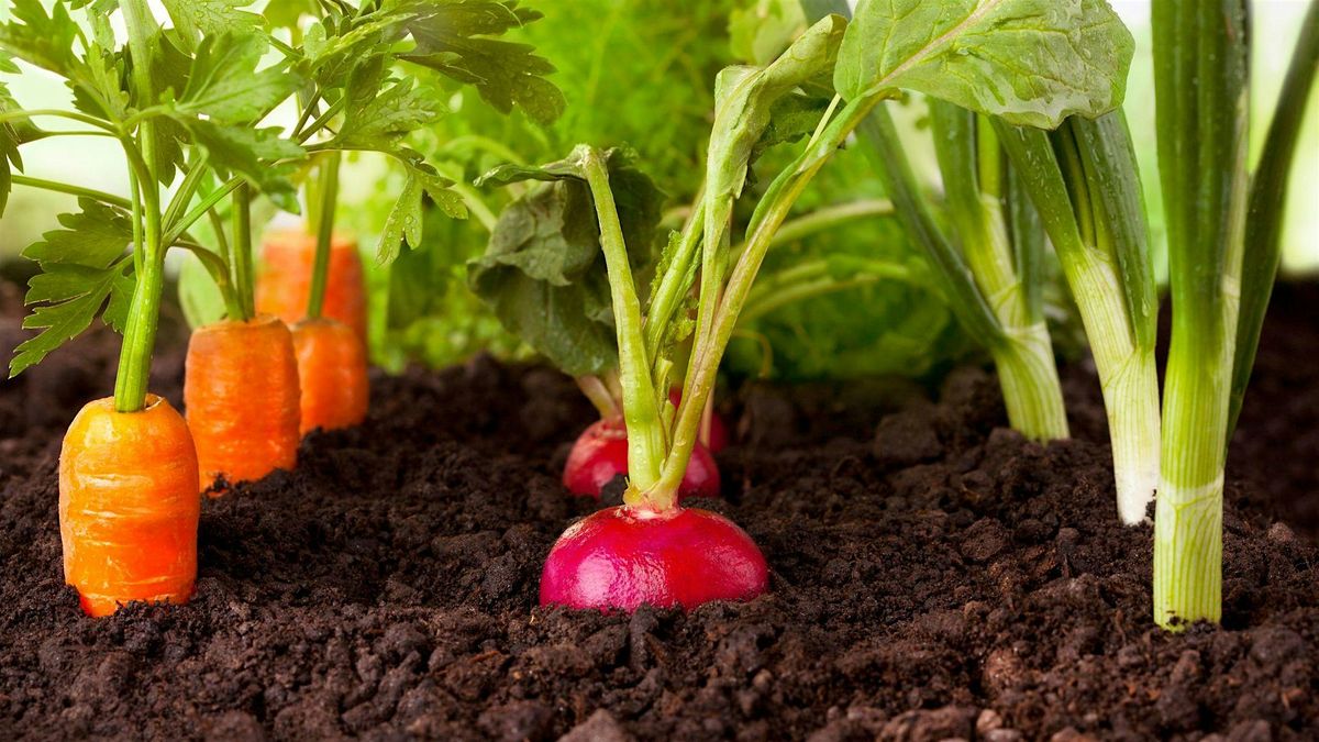 "Chill Out and Garden: Easier Growing in the Cool Seasons", 21 August | Event in Barco | AllEvents