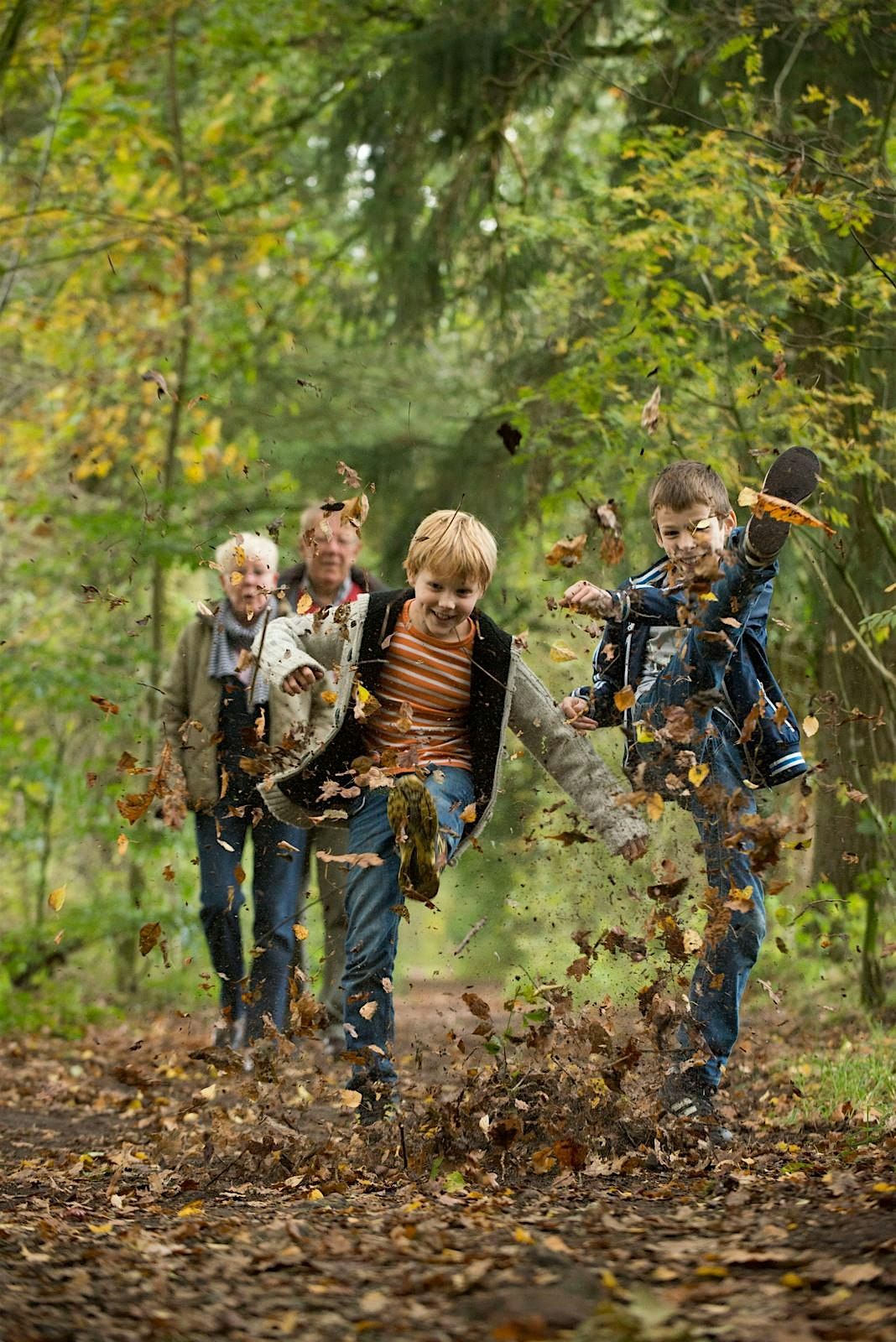 Herfstmiddag in de Wheem, 22 October | Event in Balkbrug | AllEvents