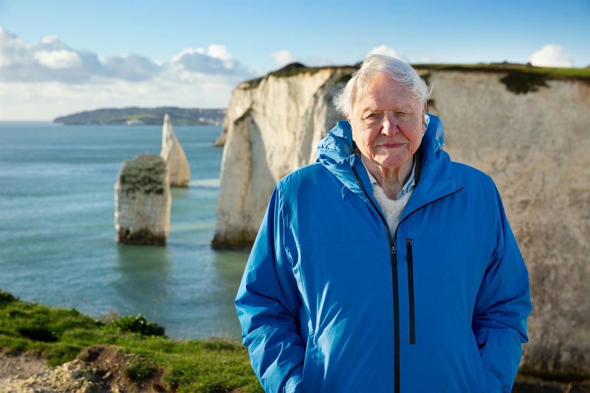 Ruthin Green Screen presents "Ocean" with David Attenborough, 2 October | Event in Ruthin | AllEvents