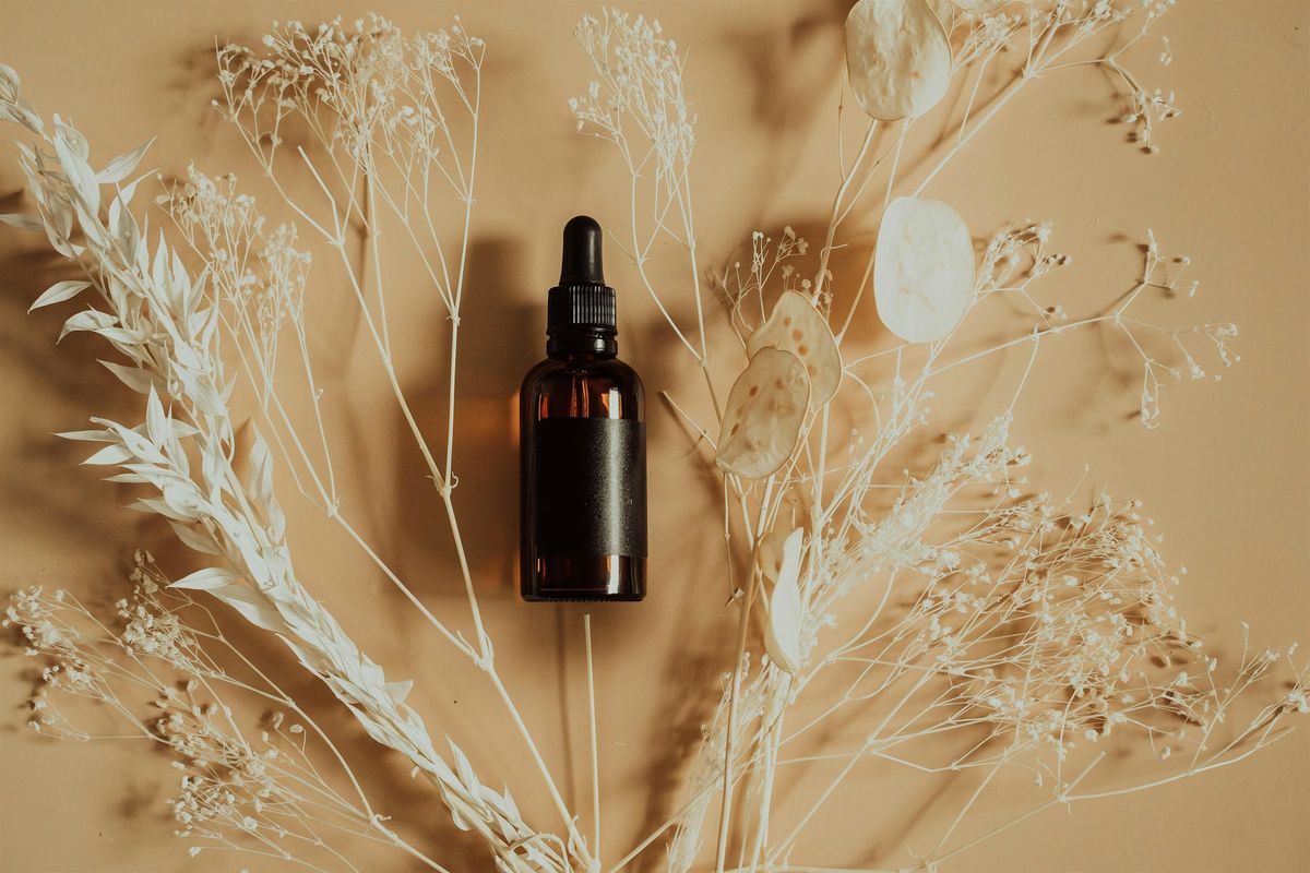 Fungus Among Us: Making Mushroom Tinctures with Jared  Urchek, 1 November | Event in Jefferson | AllEvents