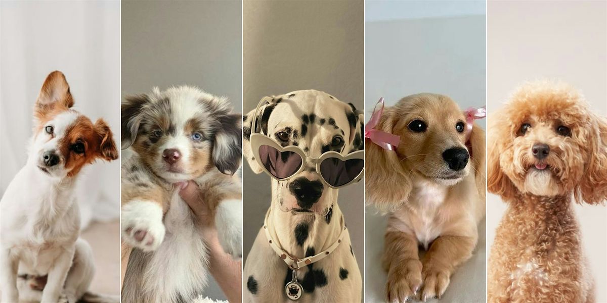 Doggy Casting Call - Bridgewater & Somerset Hills City Lifestyle, 15 May | Event in Hillsborough Township