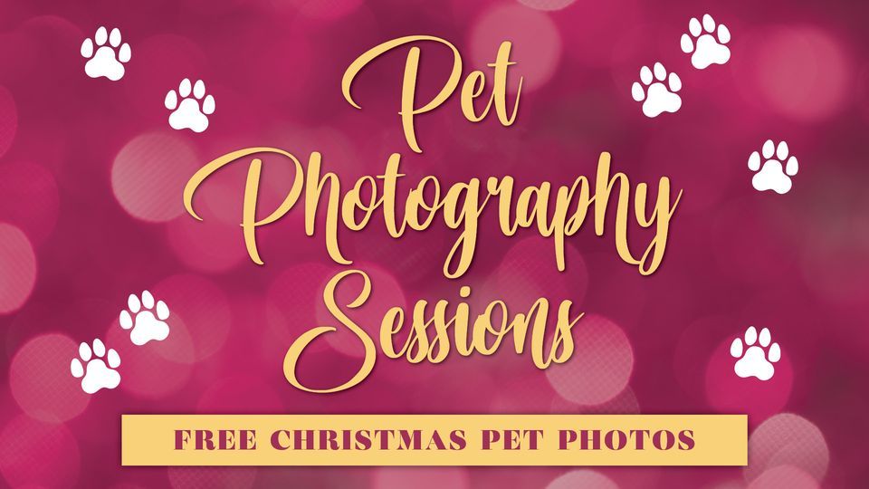 Free Christmas Pet Photography, The Gully Public House & Garden