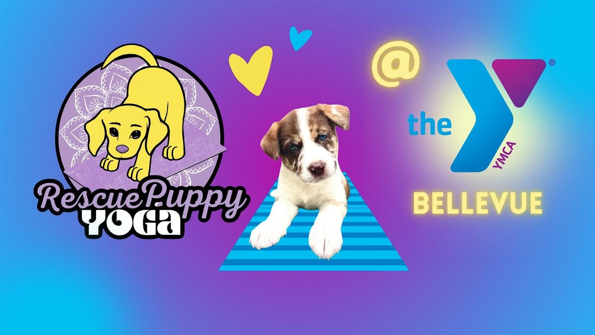 Rescue Puppy Yoga - Bellevue Family YMCA, 13 September | Event in Nashville | AllEvents