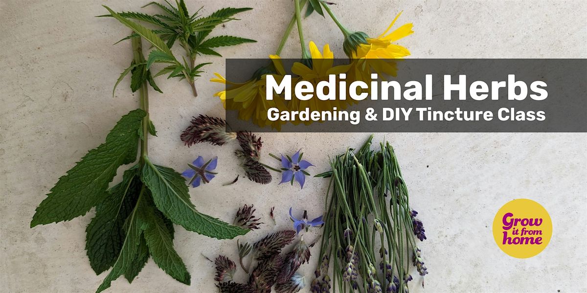 DIY Medicinal Herbs Workshop, 2 November | Event in Dublin | AllEvents