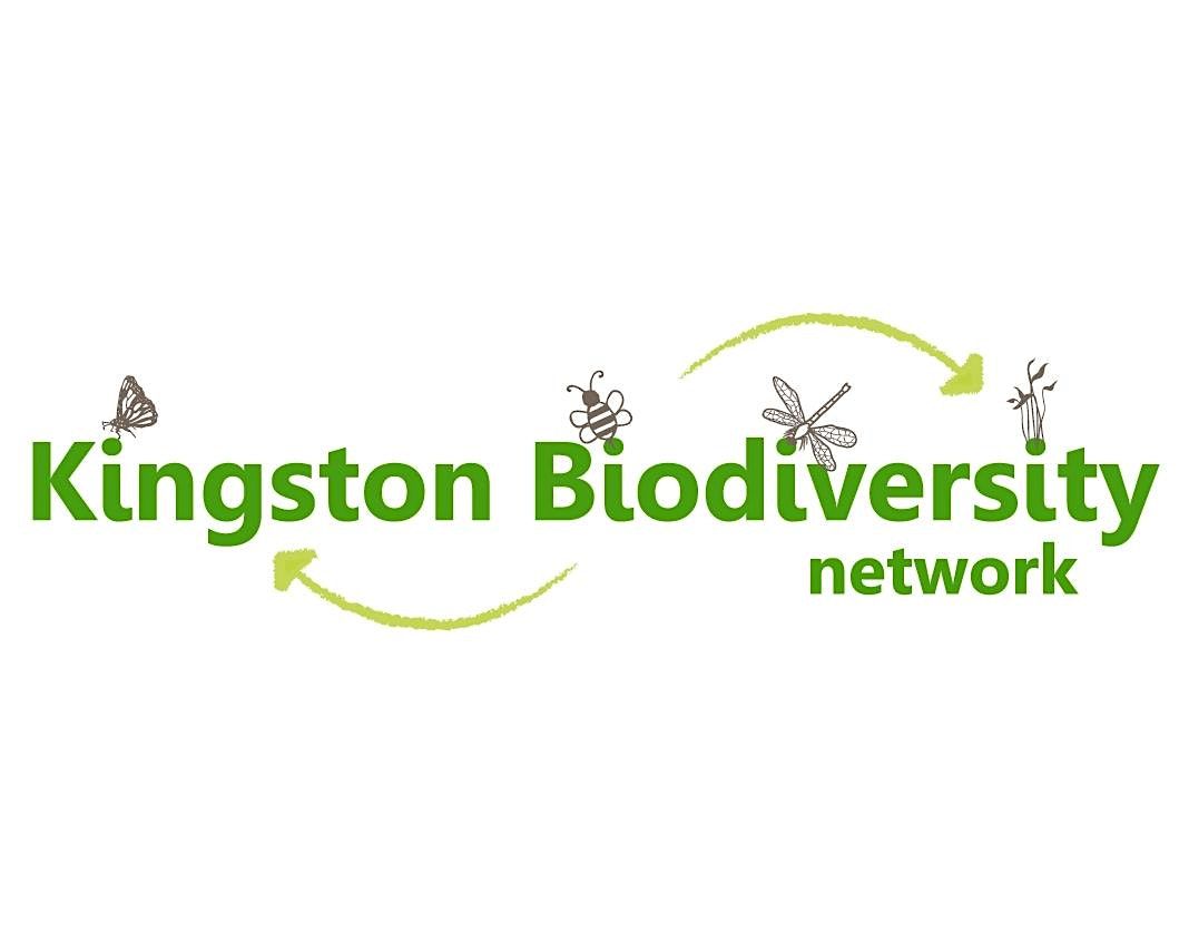 Kingston Biodiversity Network January 2026 Meeting, 21 January | Event in Kingston upon Thames | AllEvents