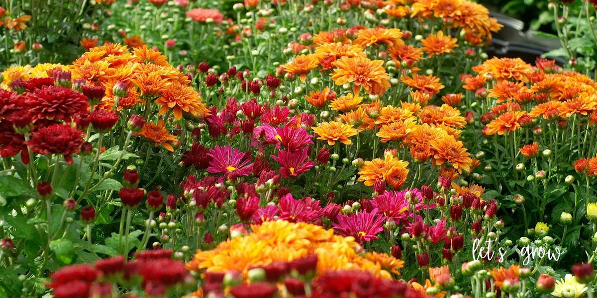 Fall Color Container Workshop, 20 September | Event in Aiken | AllEvents