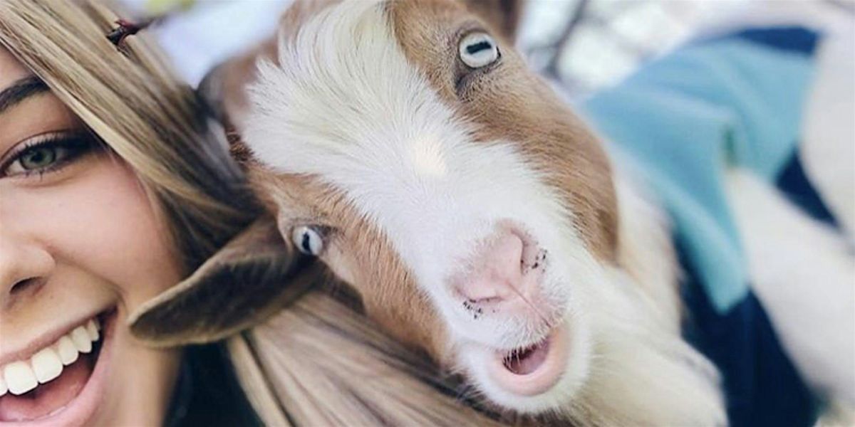 Goat Yoga McKinney @ Tupps!, 16 November | Event in McKinney | AllEvents