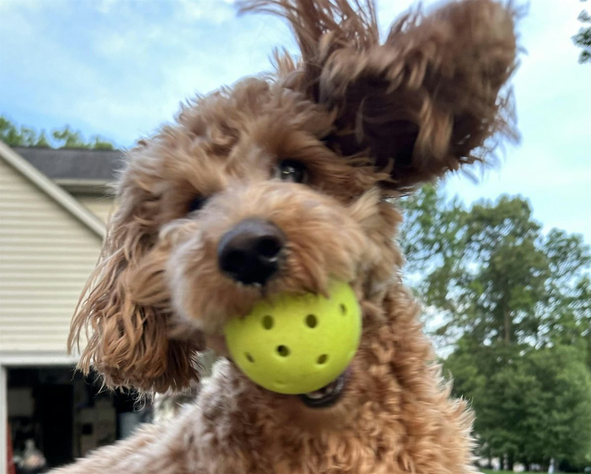 Pickle for Pups Pickleball Fall Edition 2025, 4 October | Event in Owings Mills | AllEvents