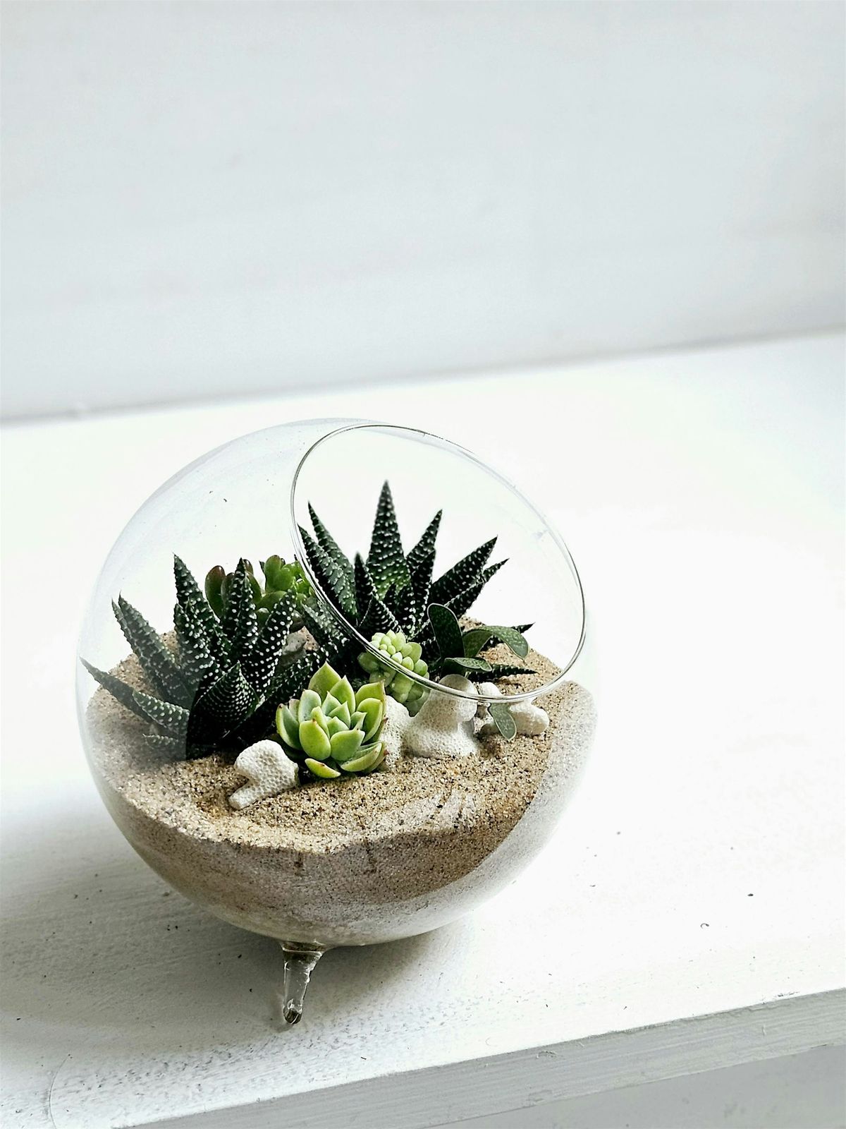 Terrarium Workshop, 14 July | Event in New York | AllEvents